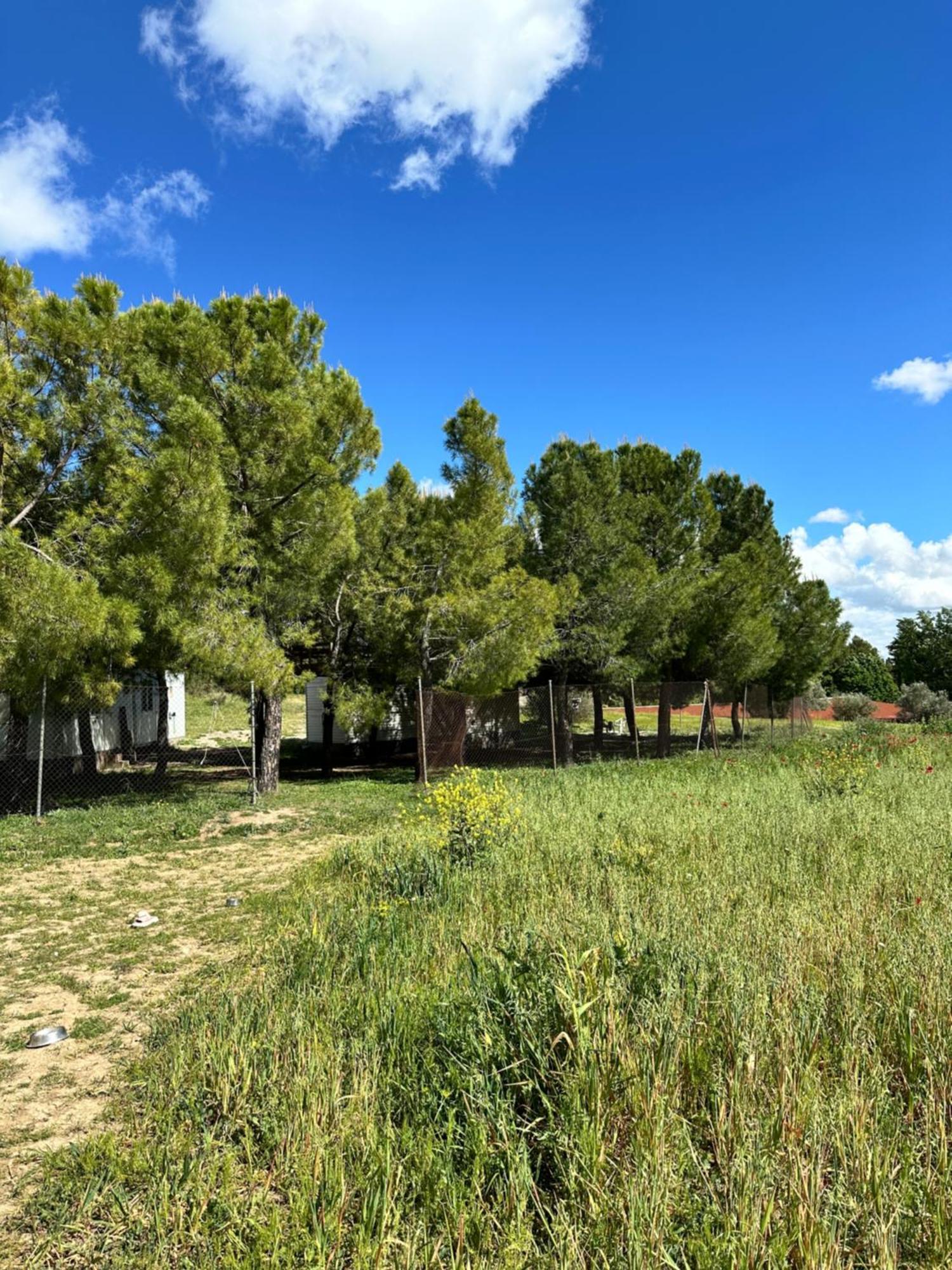 Bungalow Infanta Torrelaguna Exteriér fotografie