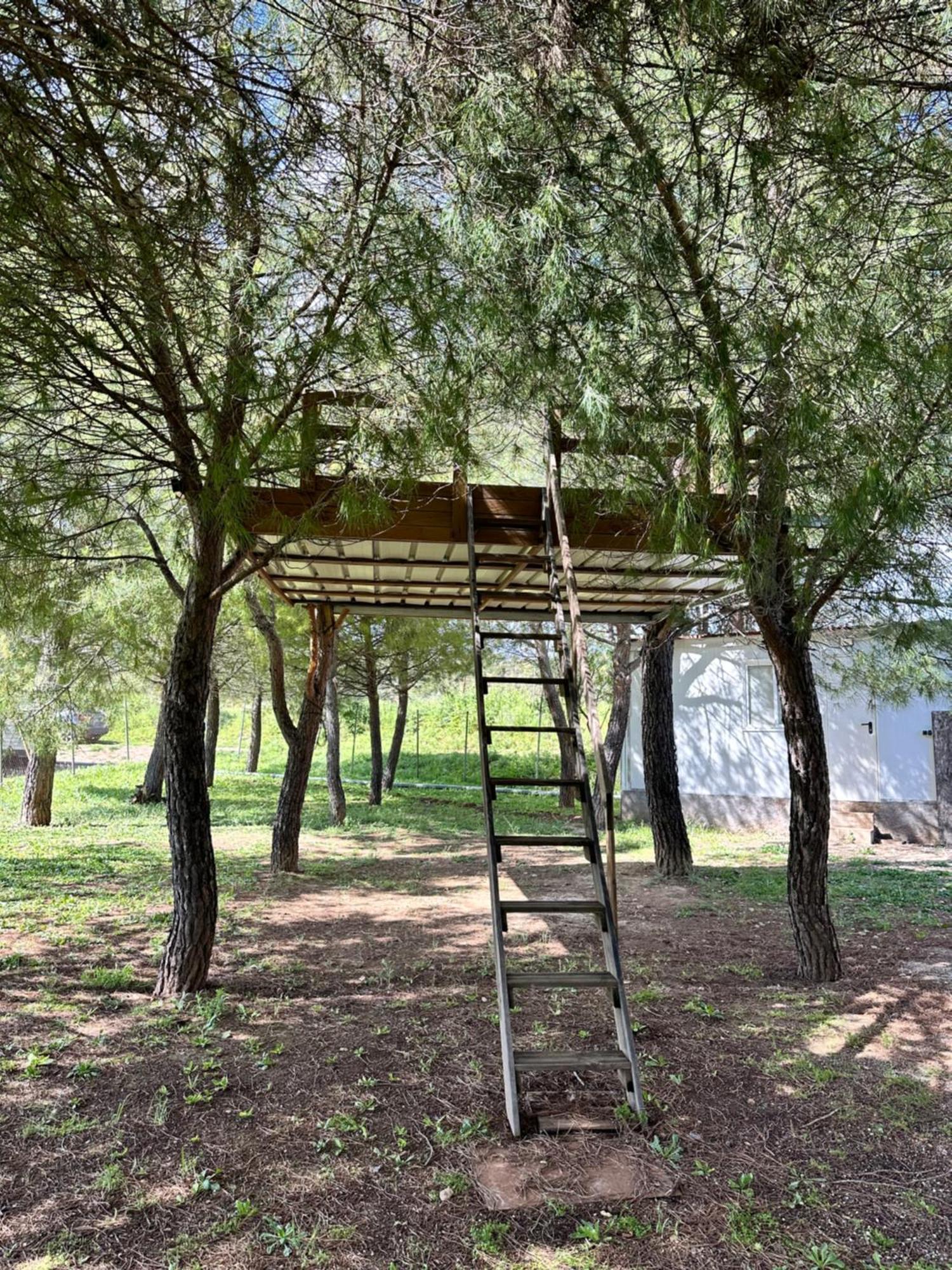 Bungalow Infanta Torrelaguna Exteriér fotografie