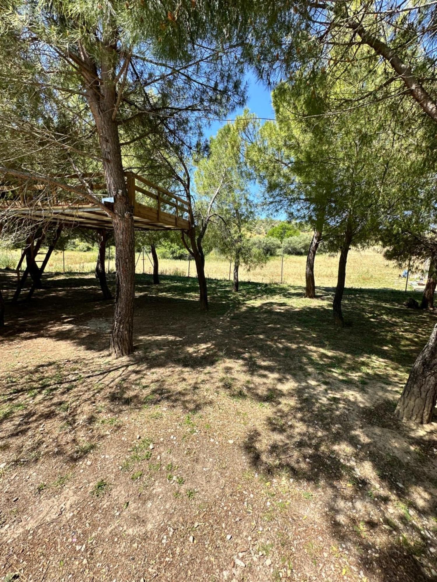 Bungalow Infanta Torrelaguna Exteriér fotografie